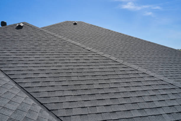 Roof Moss and Algae Removal in Coeburn, VA